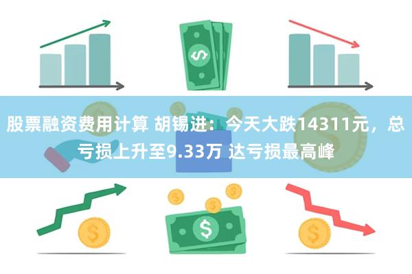 股票融资费用计算 胡锡进：今天大跌14311元，总亏损上升至9.33万 达亏损最高峰