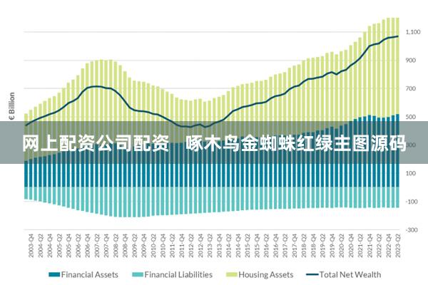 网上配资公司配资   啄木鸟金蜘蛛红绿主图源码