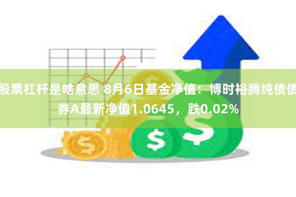 股票杠杆是啥意思 8月6日基金净值：博时裕腾纯债债券A最新净值1.0645，跌0.02%