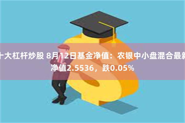 十大杠杆炒股 8月12日基金净值：农银中小盘混合最新净值2.5536，跌0.05%