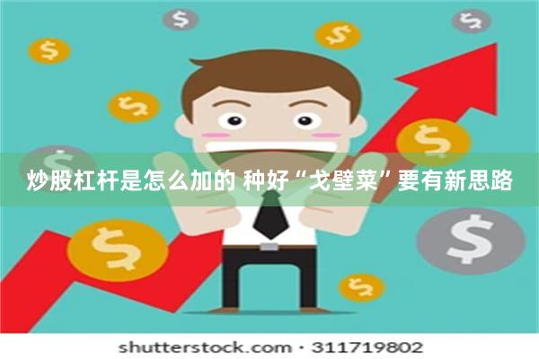 炒股杠杆是怎么加的 种好“戈壁菜”要有新思路