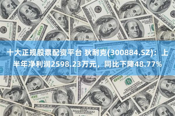 十大正规股票配资平台 狄耐克(300884.SZ)：上半年净利润2598.23万元，同比下降48.77%