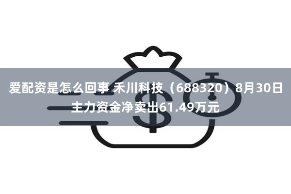 爱配资是怎么回事 禾川科技（688320）8月30日主力资金净卖出61.49万元