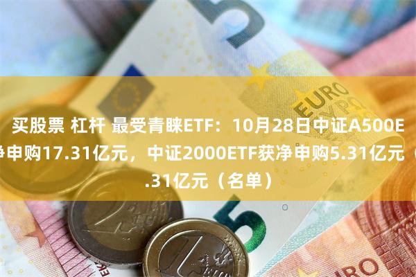 买股票 杠杆 最受青睐ETF：10月28日中证A500ETF获净申购17.31亿元，中证2000ETF获净申购5.31亿元（名单）