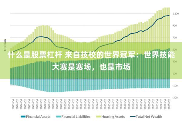 什么是股票杠杆 来自技校的世界冠军：世界技能大赛是赛场，也是市场