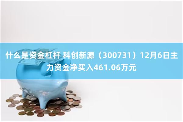 什么是资金杠杆 科创新源（300731）12月6日主力资金净买入461.06万元