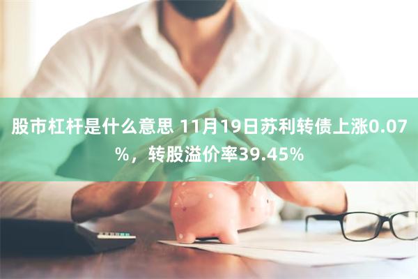 股市杠杆是什么意思 11月19日苏利转债上涨0.07%，转股溢价率39.45%