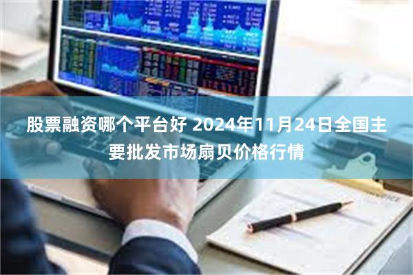 股票融资哪个平台好 2024年11月24日全国主要批发市场扇贝价格行情