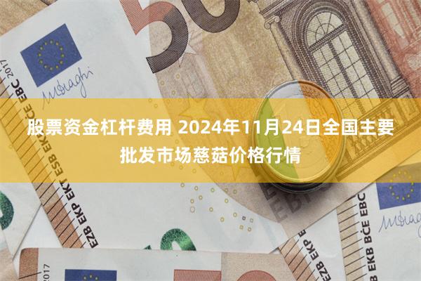 股票资金杠杆费用 2024年11月24日全国主要批发市场慈菇价格行情