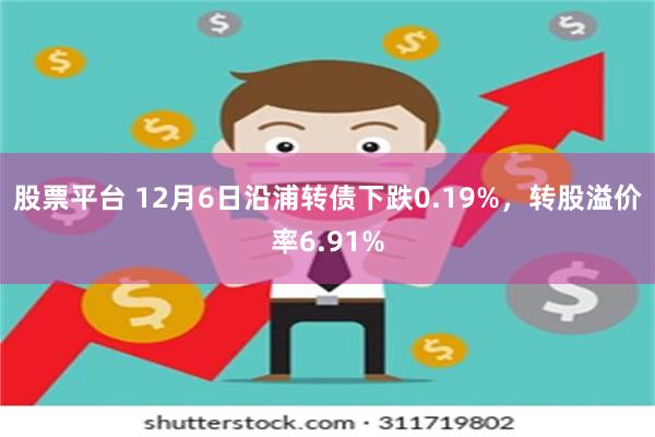 股票平台 12月6日沿浦转债下跌0.19%，转股溢价率6.91%