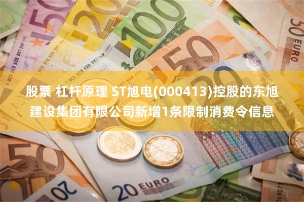 股票 杠杆原理 ST旭电(000413)控股的东旭建设集团有限公司新增1条限制消费令信息