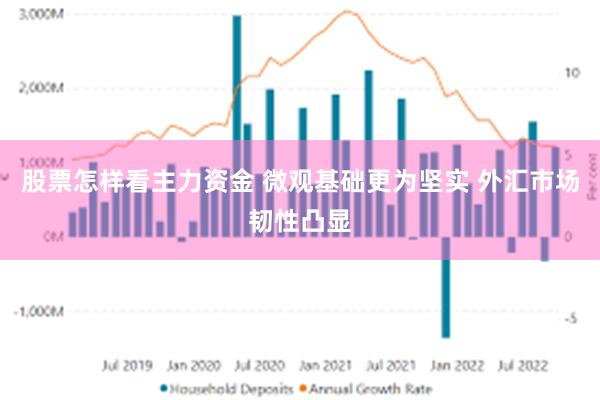 股票怎样看主力资金 微观基础更为坚实 外汇市场韧性凸显