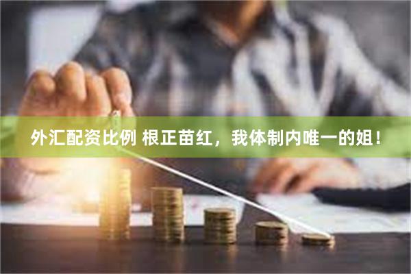 外汇配资比例 根正苗红，我体制内唯一的姐！