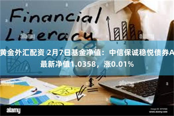 黄金外汇配资 2月7日基金净值：中信保诚稳悦债券A最新净值1.0358，涨0.01%